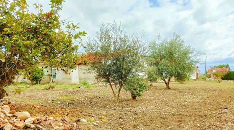 Múrcia - Alguazas - 900m2