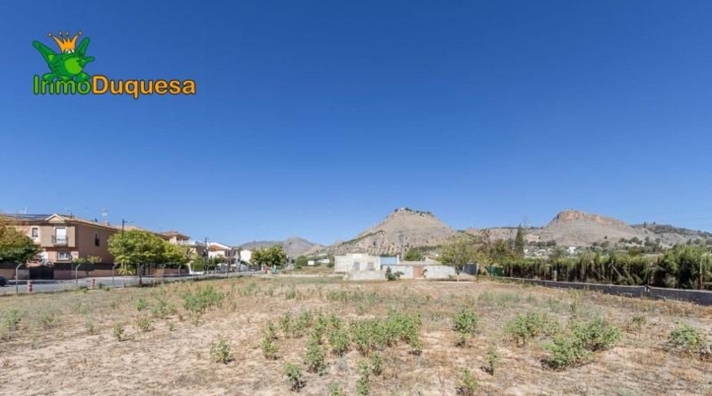 Granada - Atarfe - 2900m2