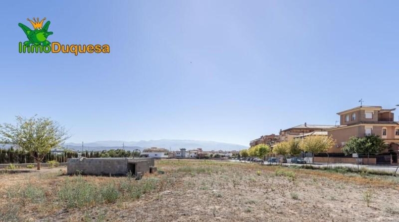 Granada - Atarfe - 2900m2