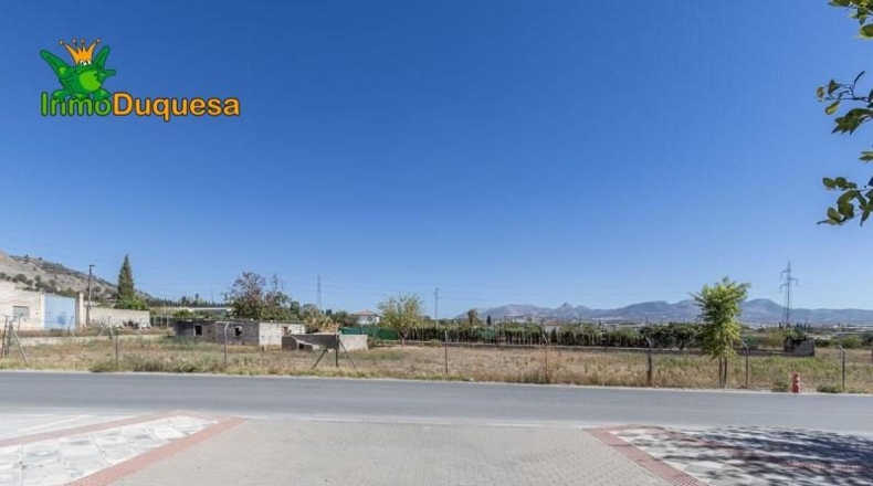 Granada - Atarfe - 2900m2