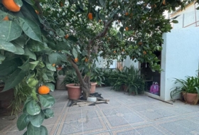 Puerto Lumbreras 220&nbsp;m²