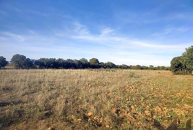 Belvís de la Jara 308922&nbsp;m²
