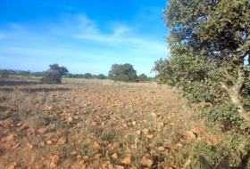 Belvís de la Jara 308922&nbsp;m²
