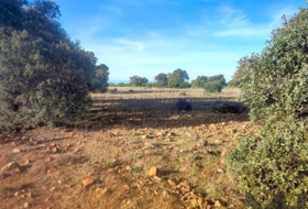 Belvís de la Jara 308922&nbsp;m²