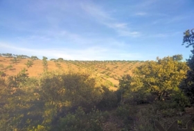 Belvís de la Jara 308922&nbsp;m²