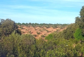 Belvís de la Jara 308922&nbsp;m²