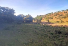 Belvís de la Jara 308922&nbsp;m²