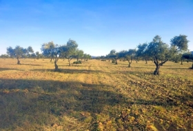Belvís de la Jara 308922&nbsp;m²