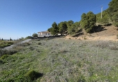 Sòl urbà en venda a la España, Padul, ref.: TR128628 foto
