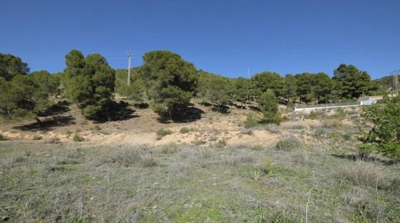 Granada - Padul - 2685m2
