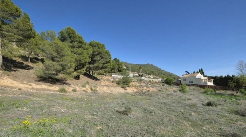 Granada - Padul - 2685m2