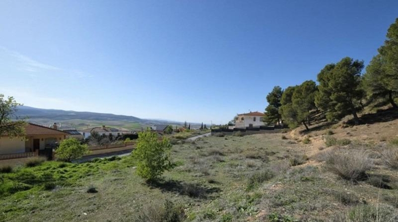 Granada - Padul - 2685m2