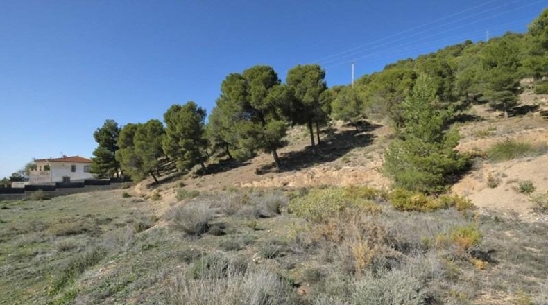 Granada - Padul - 2685m2