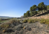 Suelo urbano en venta en la España, Padul, ref: TR409257 foto
