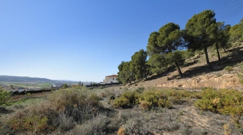 Granada - Padul - 2685m2