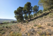 Suelo urbano en venta en la España, Padul, ref: TR409257 foto