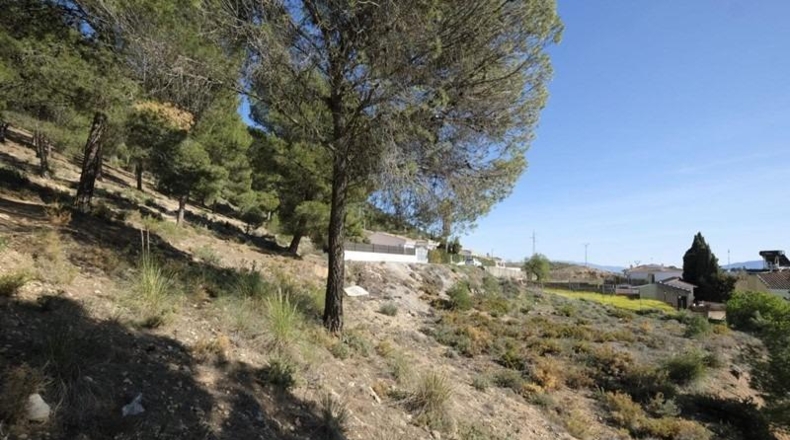 Granada - Padul - 2685m2