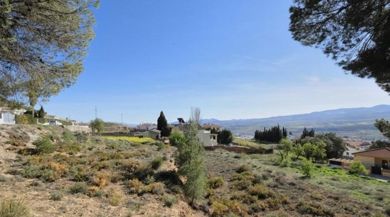 Granada - Padul - 2685m2