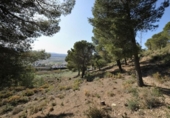 Suelo urbano en venta en la España, Padul, ref: TR409257 foto