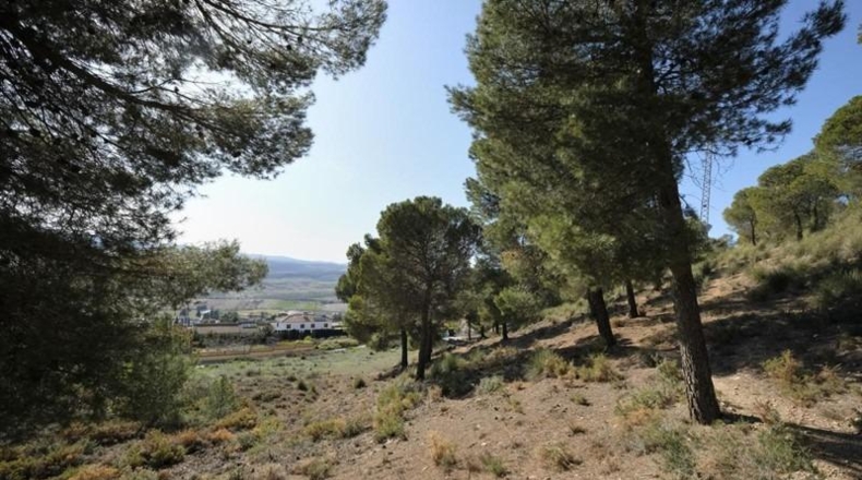 Granada - Padul - 2685m2