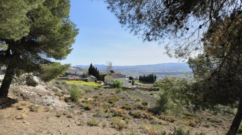Granada - Padul - 2685m2