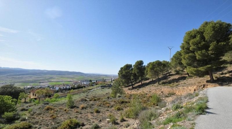 Granada - Padul - 2685m2