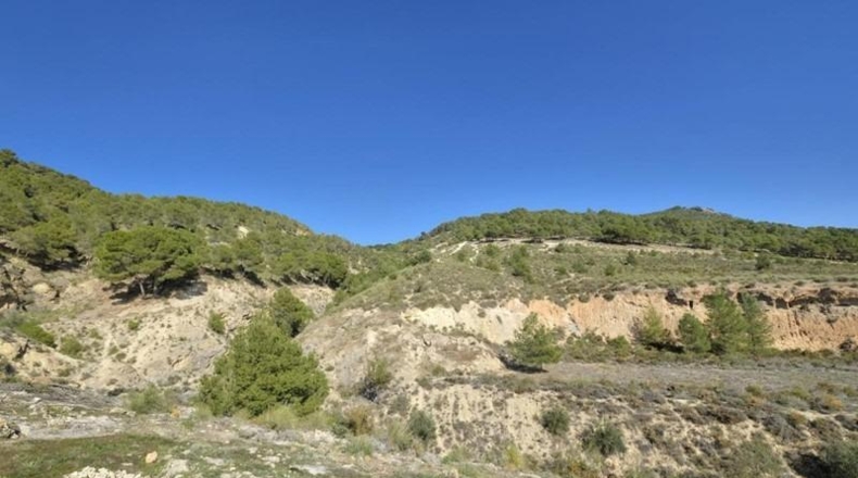 Granada - Padul - 2685m2