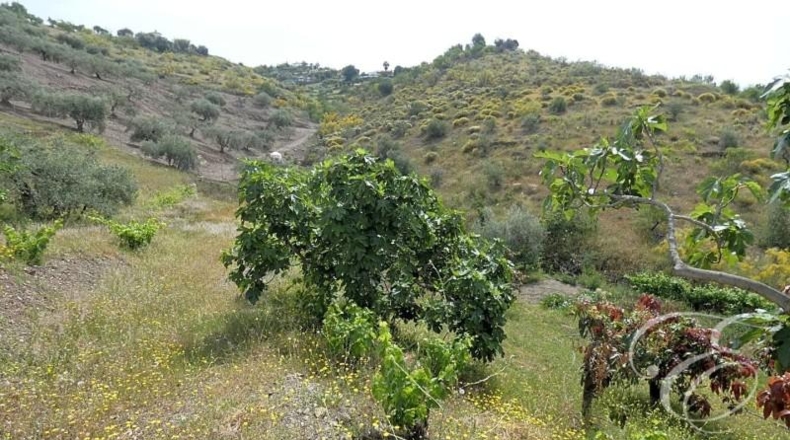 Granada - Rubite - 10694m2