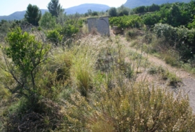 Foto 9