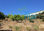 Terreno no urbanizable en venta en la España, Almuñécar, ref: TR113229 foto