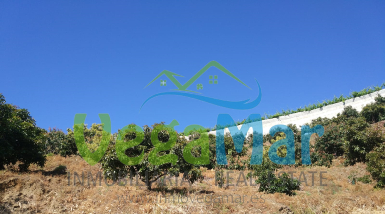 Granada - Almuñécar - 15400m2
