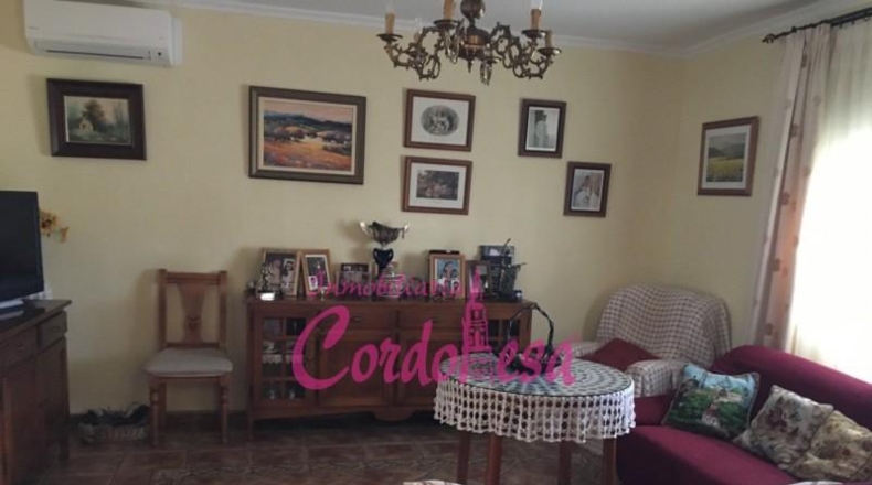 Córdoba - Córdoba - 900m2