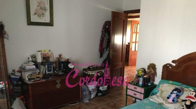 Córdoba - Córdoba - 900m2