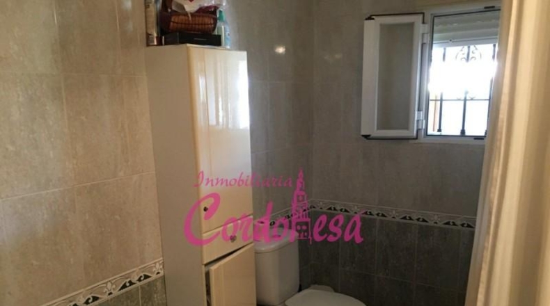 Córdoba - Córdoba - 900m2