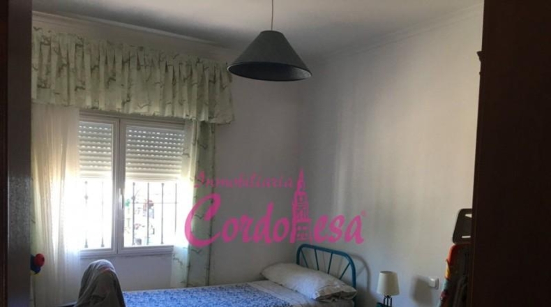 Córdoba - Córdoba - 900m2