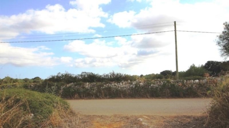 Balearic Islands - Felanitx - 16000m2