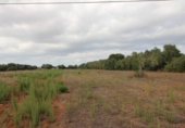 Terreno no urbanizable en venta en la España, Felanitx, ref: TR115401 foto