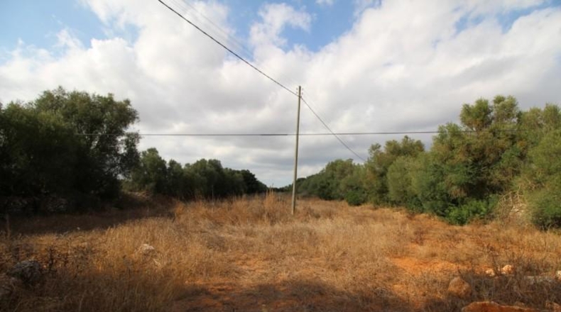 Balearic Islands - Felanitx - 16000m2