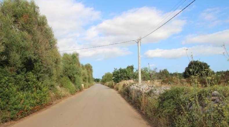 Balearic Islands - Felanitx - 16000m2