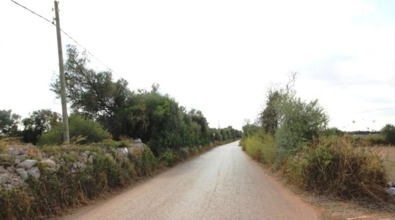 Balearic Islands - Felanitx - 16000m2