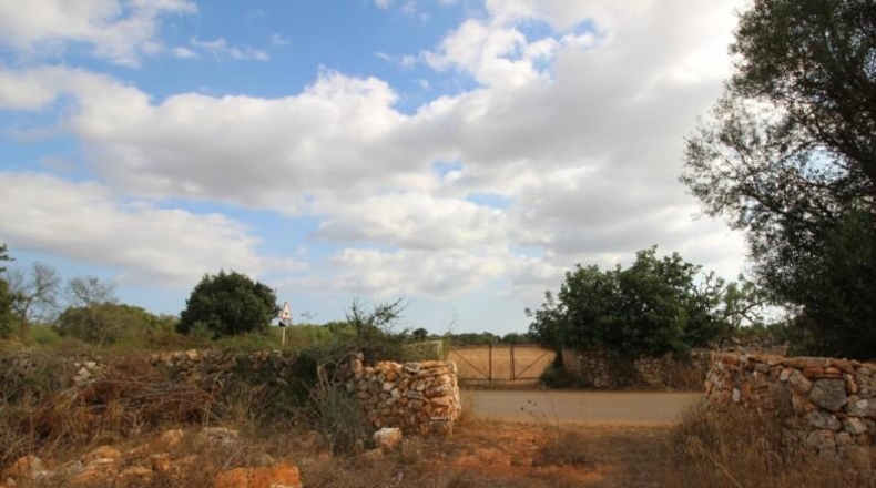 Balearic Islands - Felanitx - 16000m2