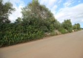 Terreno no urbanizable en venta en la España, Felanitx, ref: TR115401 foto