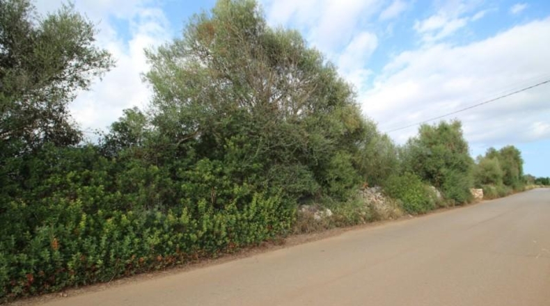 Balearic Islands - Felanitx - 16000m2