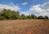 Terreno no urbanizable en venta en la España, Felanitx, ref: TR115401 foto