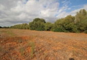 Terreno no urbanizable en venta en la España, Felanitx, ref: TR115401 foto