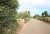 Terreno no urbanizable en venta en la España, Felanitx, ref: TR115401 foto