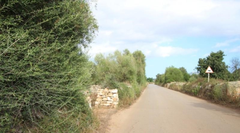 Balearic Islands - Felanitx - 16000m2