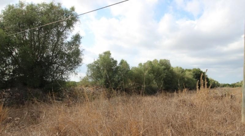 Balearic Islands - Felanitx - 16000m2