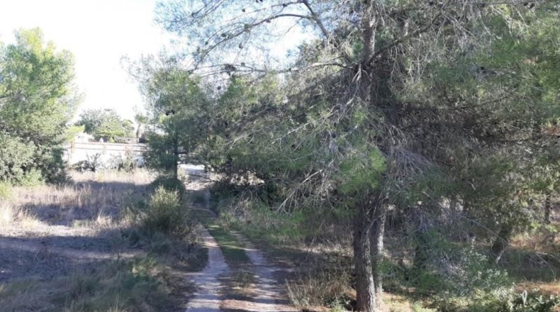 València - Manises - 893m2