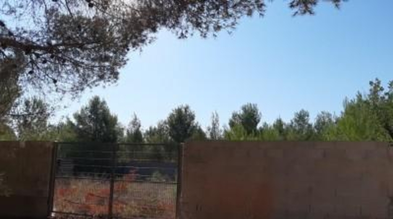 València - Manises - 893m2